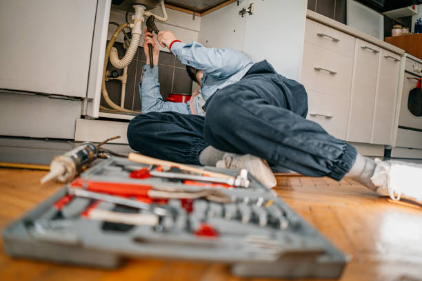 Best Emergency Plumber  in Oreana, IL