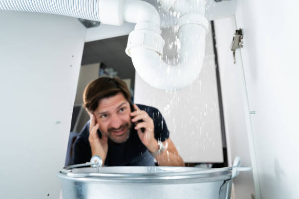 Best Septic Systems  in Oreana, IL