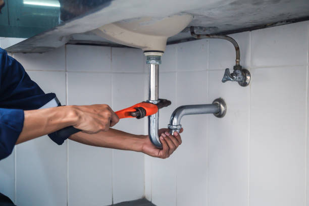 Best Clogged Drain Plumber  in Oreana, IL
