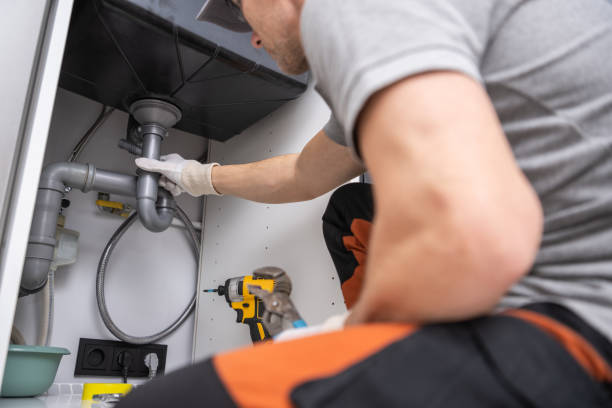 Best Same-Day Plumbing Service  in Oreana, IL