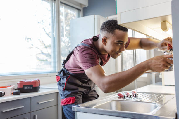 Best Plumbing Services Near Me  in Oreana, IL